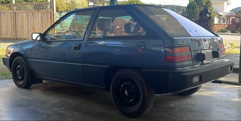 Aerodynamic Ambition: The Complete History of the Eagle Vista