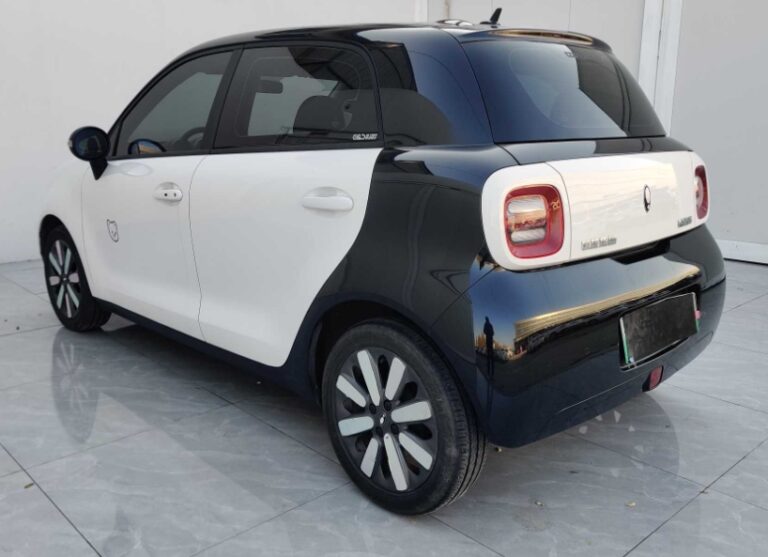 The Evolution of the ORA R1 – Black Cat: Great Wall Motor’s First Mass-Market City Electric Car