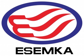The History of Esemka