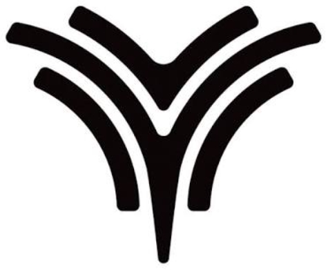 The History of Neta Auto